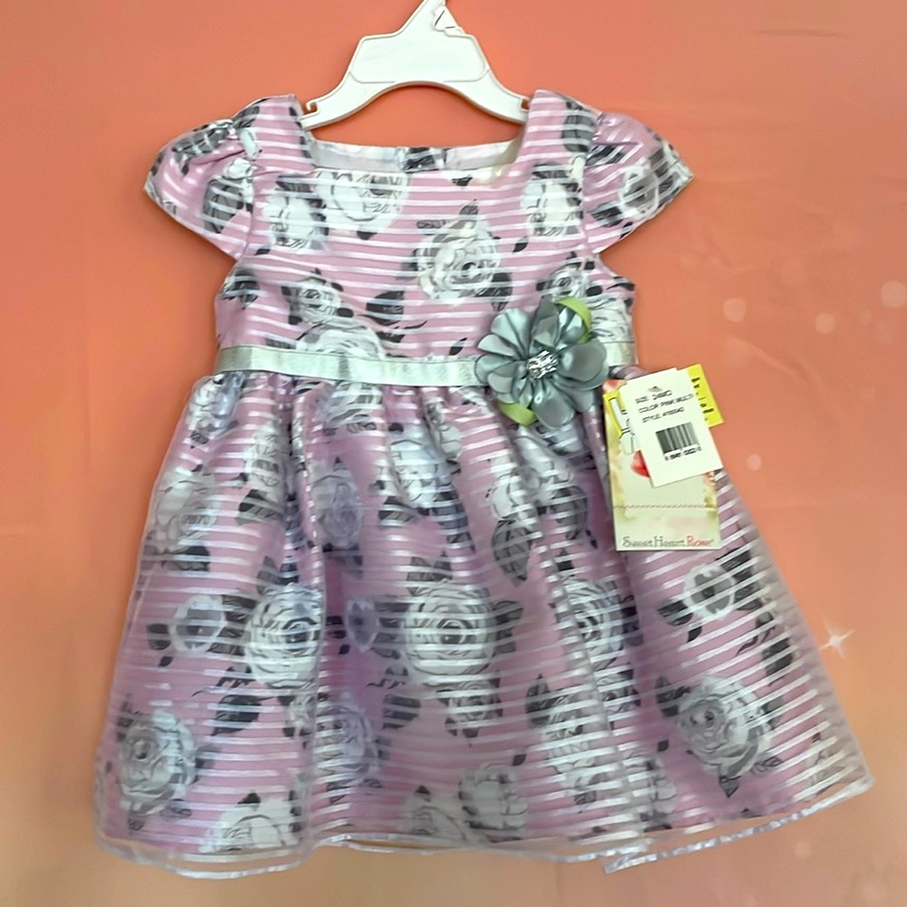NWT Baby Girls 24M Dress